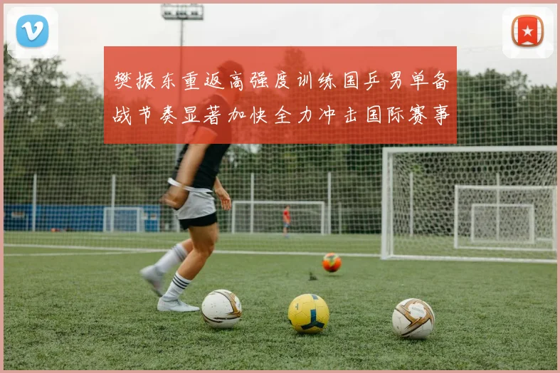樊振东重返高强度训练国乒男单备战节奏显著加快全力冲击国际赛事