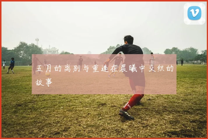 五月的离别与重逢在晨曦中交织的故事